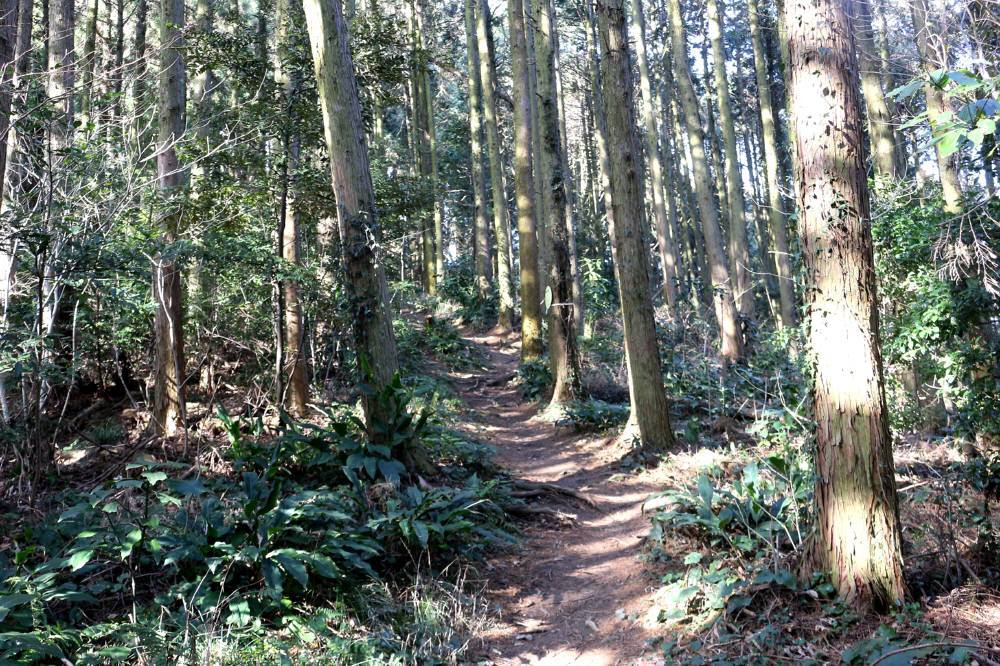 f0212511_21092309.jpg