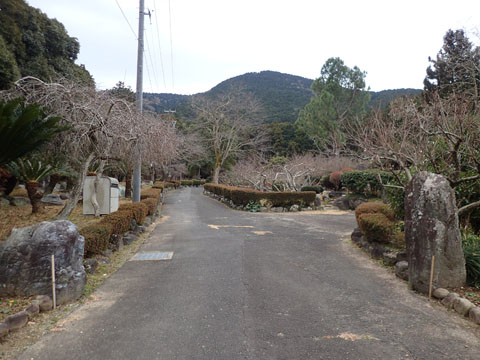 e0293913_12143955.jpg