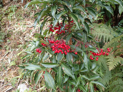 e0293913_12151556.jpg