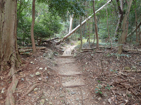e0293913_1294613.jpg