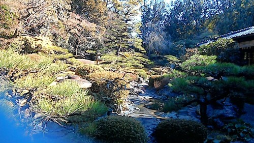a0177314_01010525.jpg
