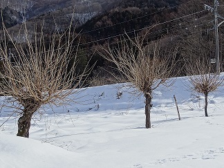 f0360815_15030394.jpg