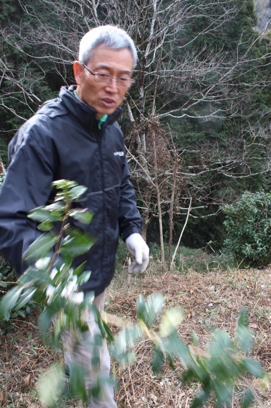 やっぱり、この人！_b0220318_12273903.jpg