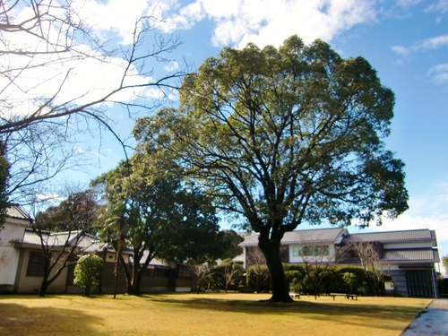 c0219820_2145652.jpg