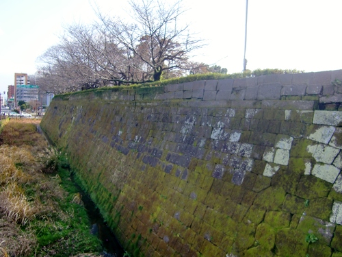 c0219820_2222511.jpg