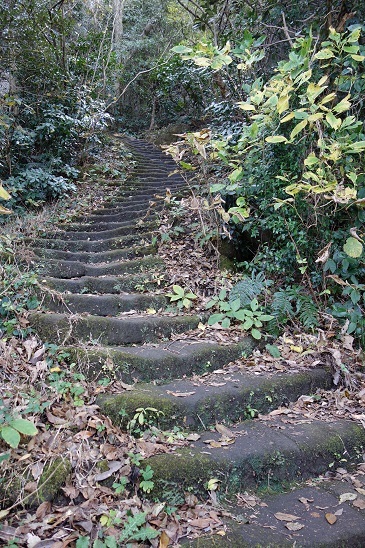 b0129725_16405901.jpg