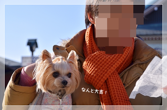 d0179828_20124106.png