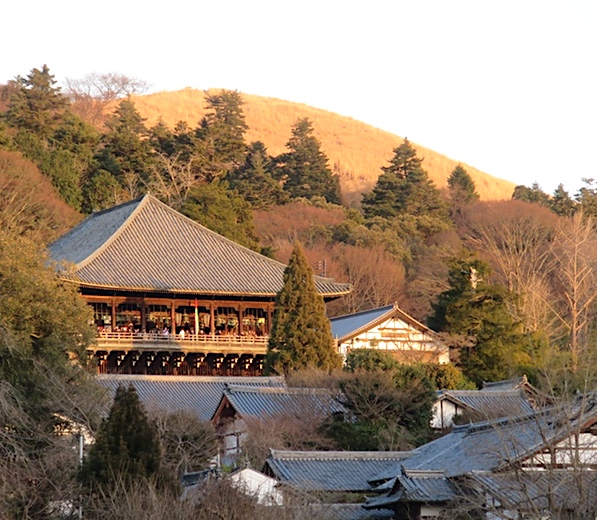 d0352628_1145016.jpg