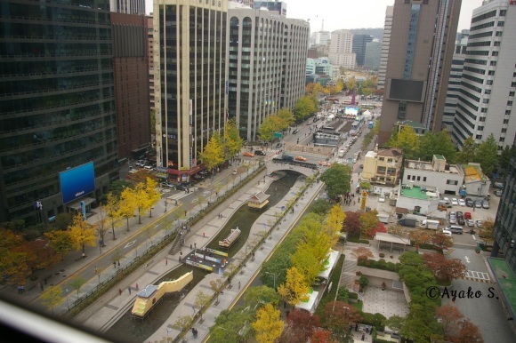 f0283431_21422935.jpg