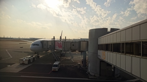 1月30日無事ご帰還!_c0070933_23211885.jpg