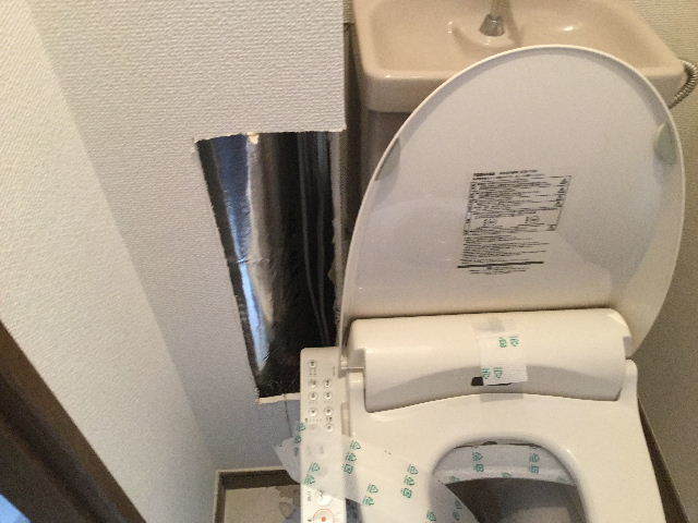 あちらのマンションとこちらのマンションと・・・あと一歩なのに・・うぅぅぅ_f0031037_21032471.jpg