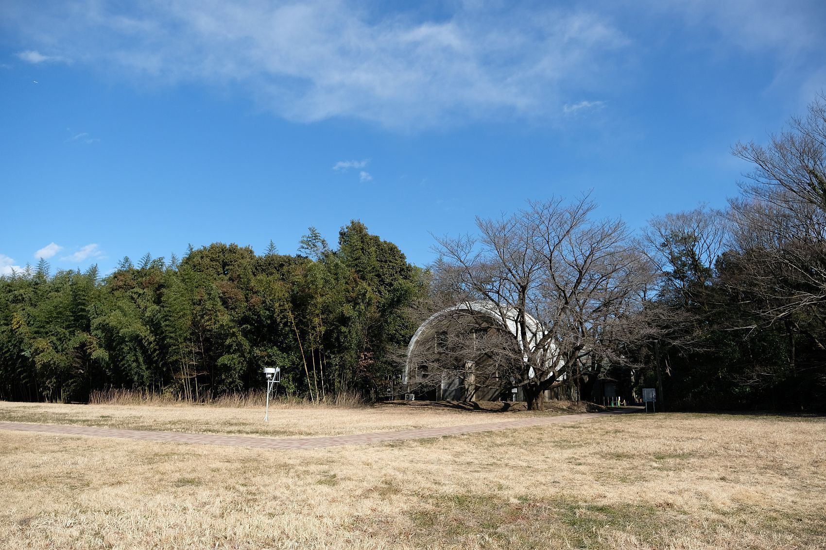 b0212342_12504110.jpg
