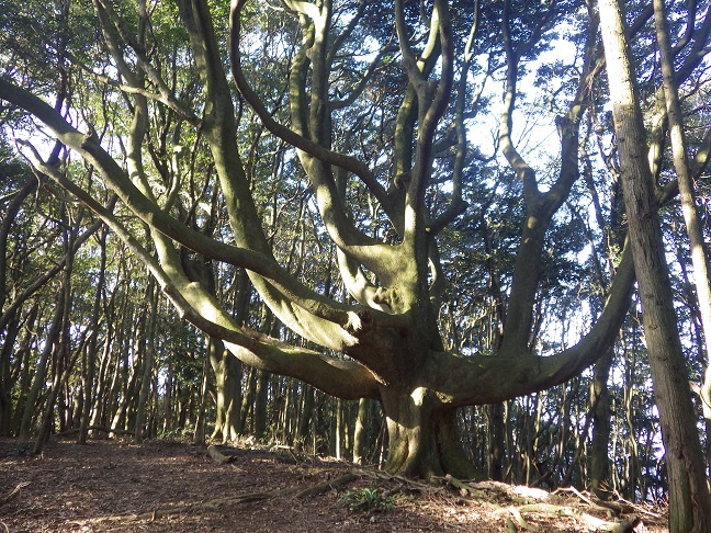 e0164643_2331163.jpg