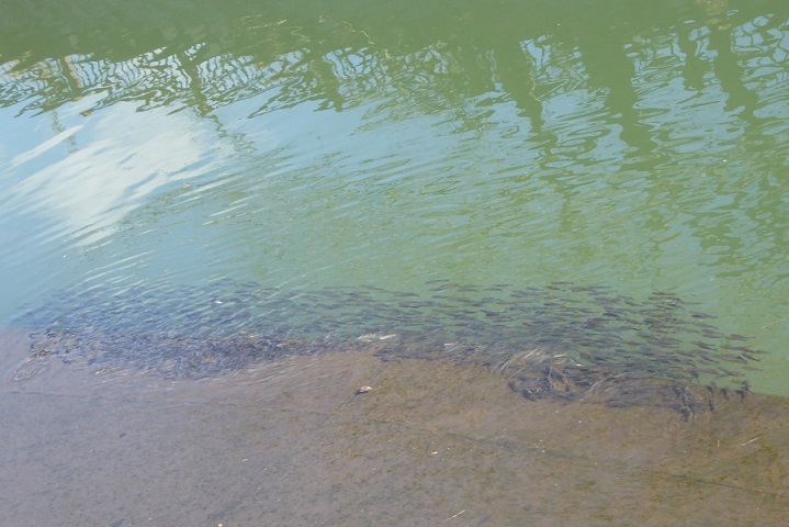 d0288144_16140599.jpg