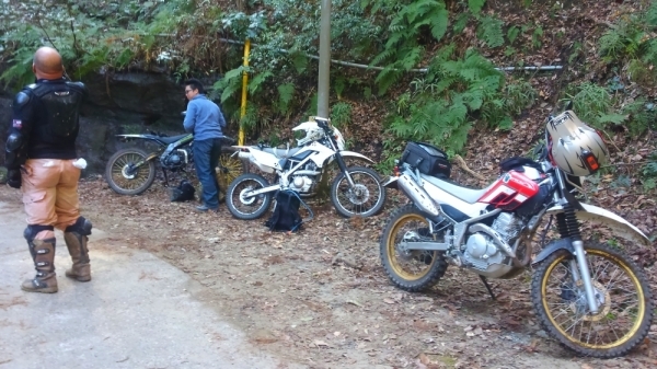 e0086244_21084817.jpg