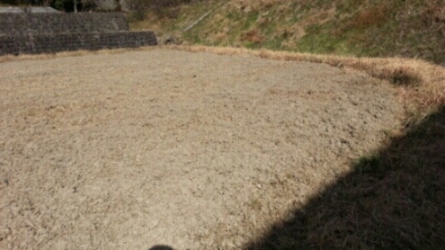 c0330749_19032291.jpg