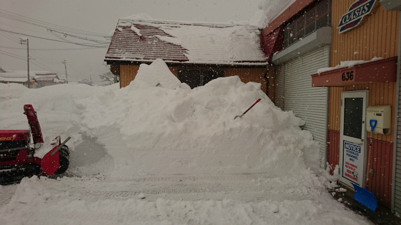 いきなりの大雪_d0141049_16545704.jpg