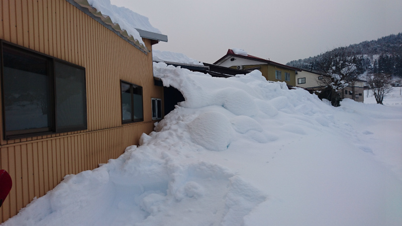 いきなりの大雪_d0141049_16580111.jpg