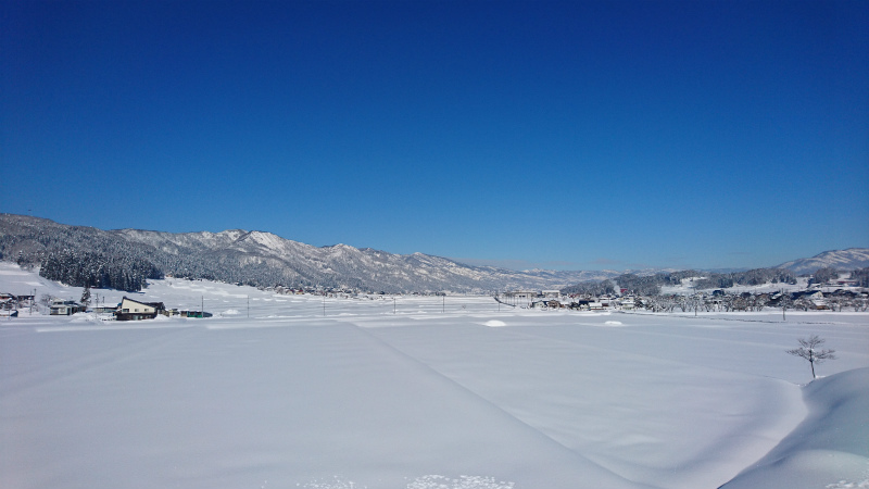 いきなりの大雪_d0141049_16595142.jpg