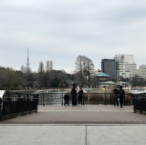 谷中七福神と甘味巡り_b0228252_08130029.jpg