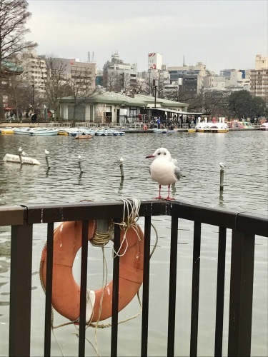 谷中七福神と甘味巡り_b0228252_08181289.jpg