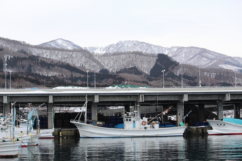 1月29日　亀田半島・臼尻の港へ_b0250154_20203074.jpg