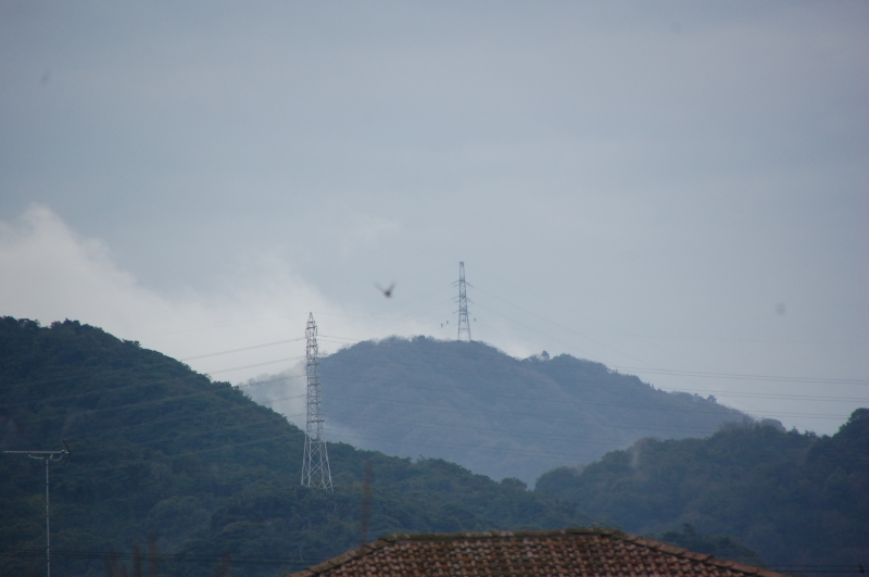 c0108460_18314246.jpg