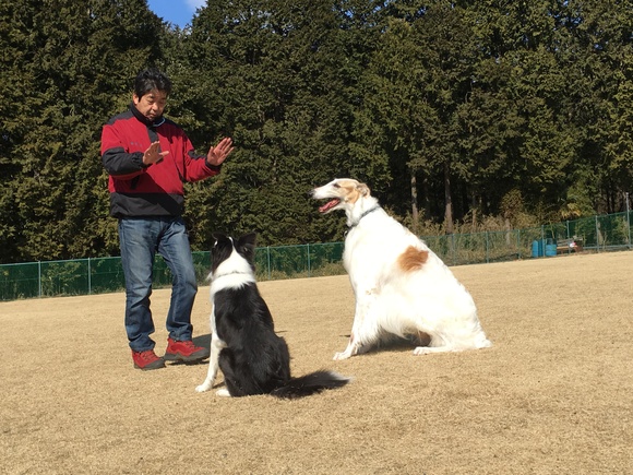 牡蠣三昧から今日もキャンフェス！_c0260264_1551283.jpg