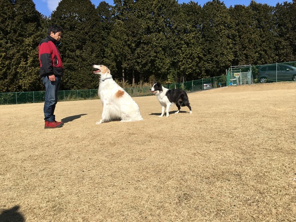 牡蠣三昧から今日もキャンフェス！_c0260264_1552594.jpg