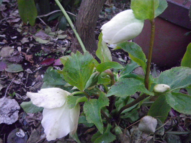 f0042665_17463982.jpg