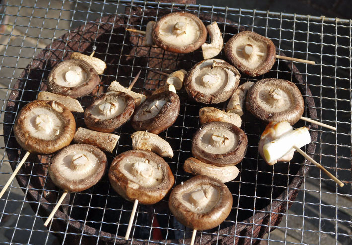 北鎌倉の恵みで乾杯！ねぎまの炭火焼きで新年会1・29_c0014967_102434.jpg