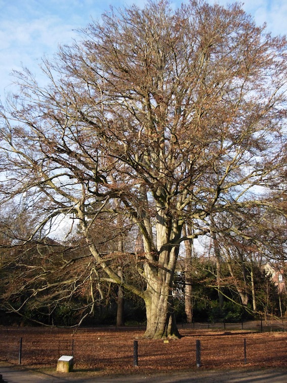 e0357367_01244482.jpg