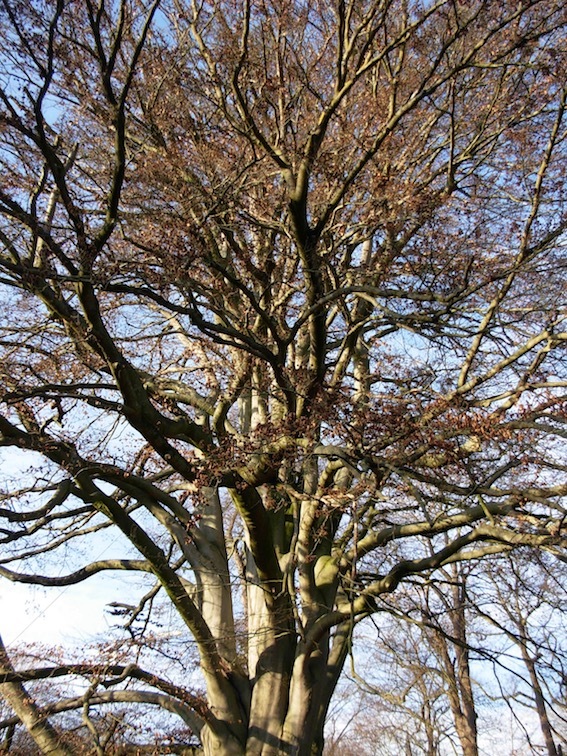 e0357367_01245215.jpg