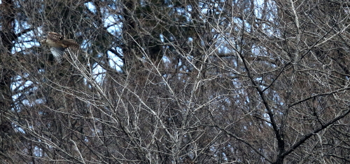 d0262476_69071.jpg