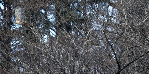 d0262476_69624.jpg