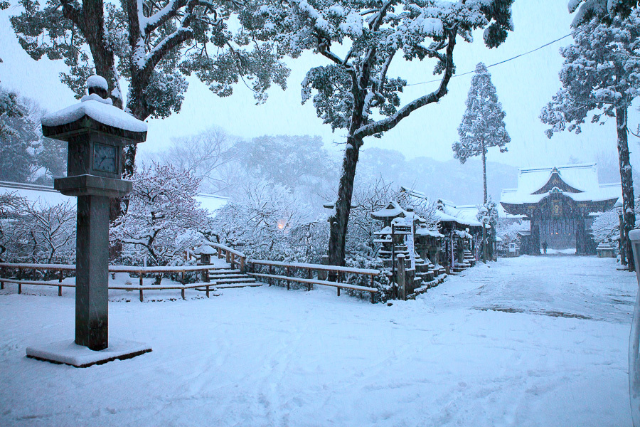 雪景色！　～北野天満宮～　　　（写真部門）_b0128581_20042547.jpg