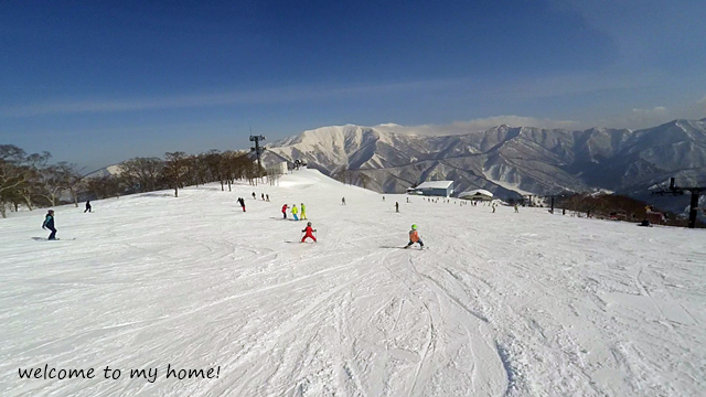 c0365584_02544688.png