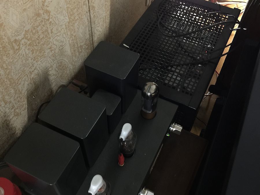 (1/28)甦ったパラゴン_b0350085_01205634.jpg