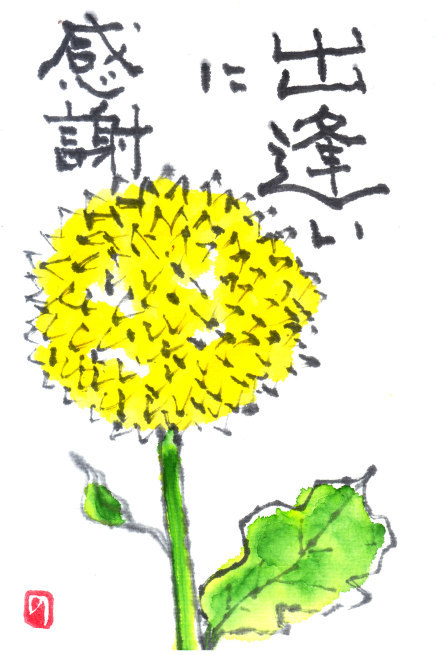 ありがとうの絵手紙　10-ポンポン菊　♪♪_b0335286_16253490.jpg