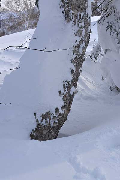 f0212586_8543235.jpg
