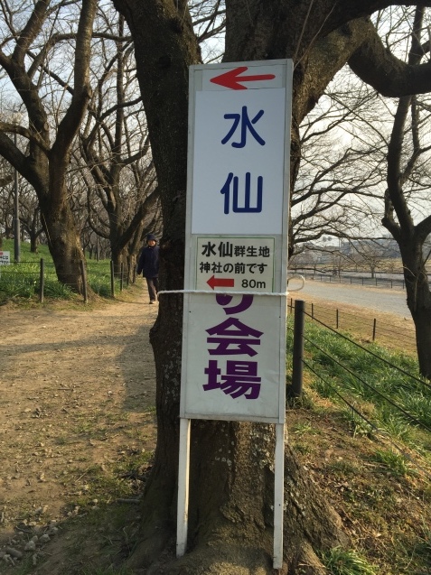 e0152990_11550105.jpeg