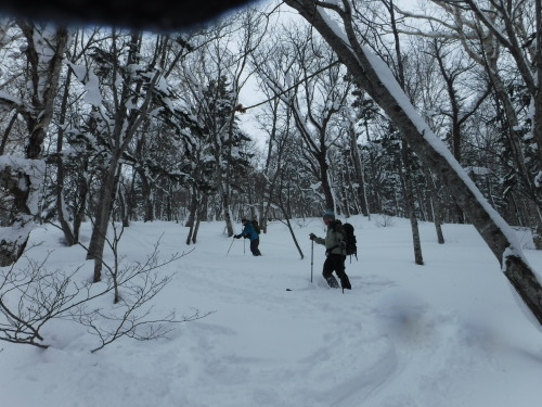 極上の粉雪、和宇尻山　２０１７，１，２２_f0297492_14442977.jpg