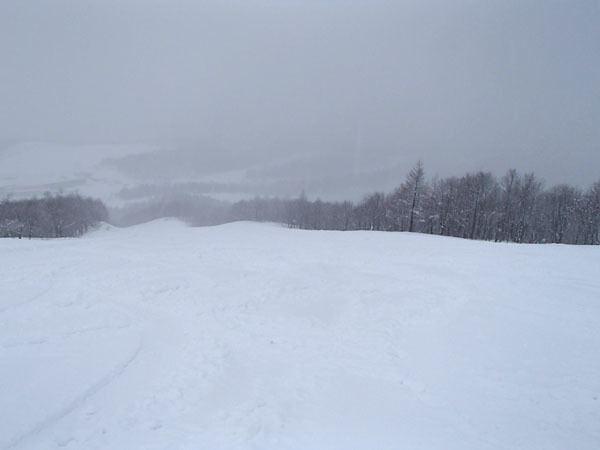 a0043193_19184777.jpg