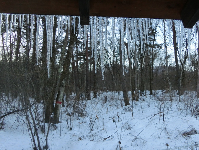 a0319693_718972.jpg