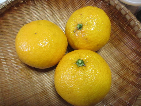 a0203003_1941529.jpg