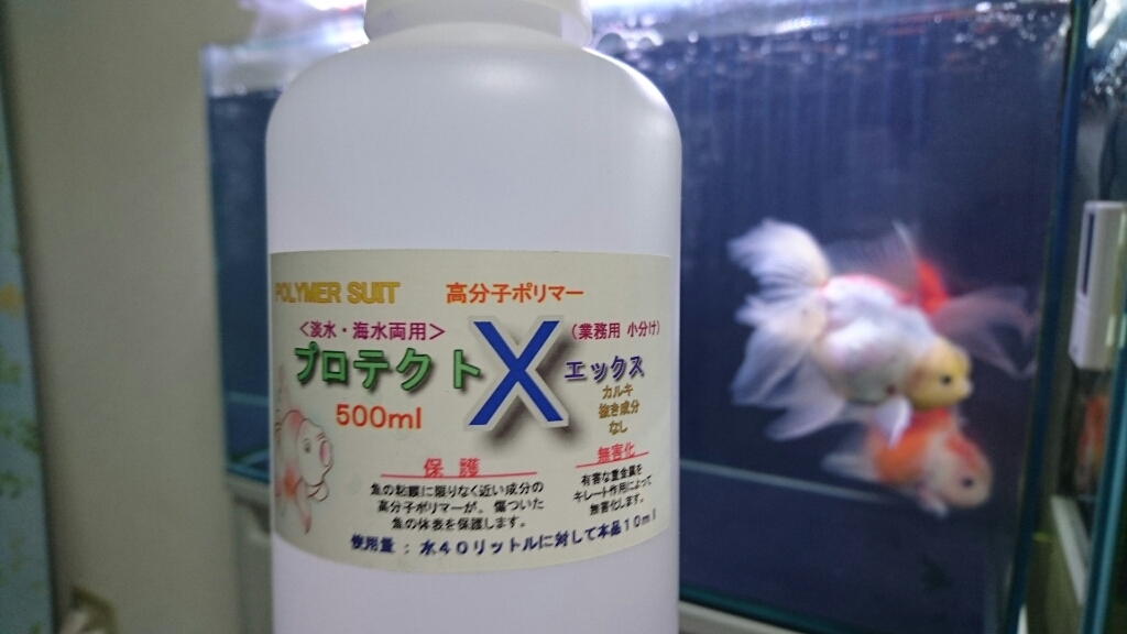 そこには悲劇が待っていた・・・_b0298605_00480865.jpg