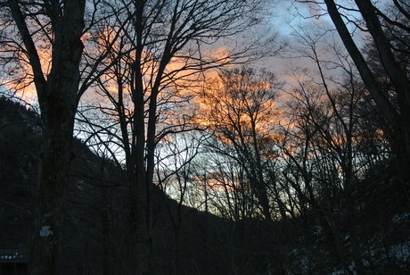c0242406_15425247.jpg