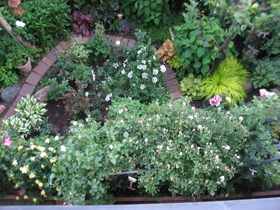 f0325309_20024908.jpg