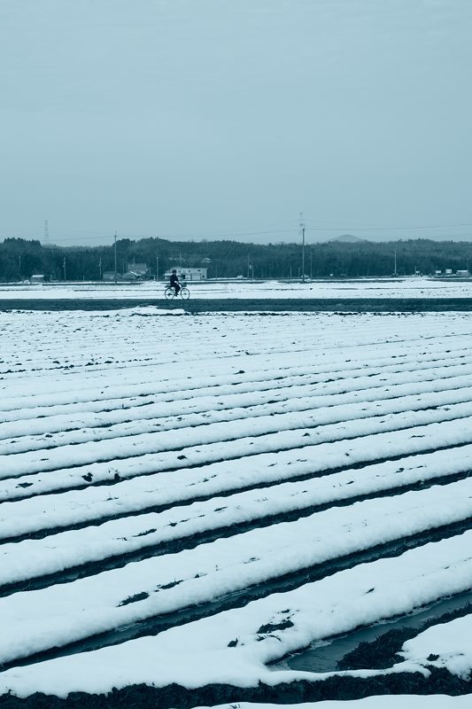 近江鉄道撮り歩き～！　其の二_f0032011_21244688.jpg