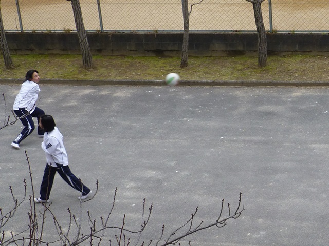 e0251420_16335863.jpg